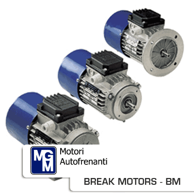 BM MGM BRAKE MOTORS