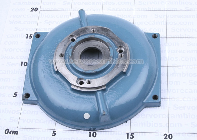 Escudo_porta_bri_4bfd3208070ca.jpg