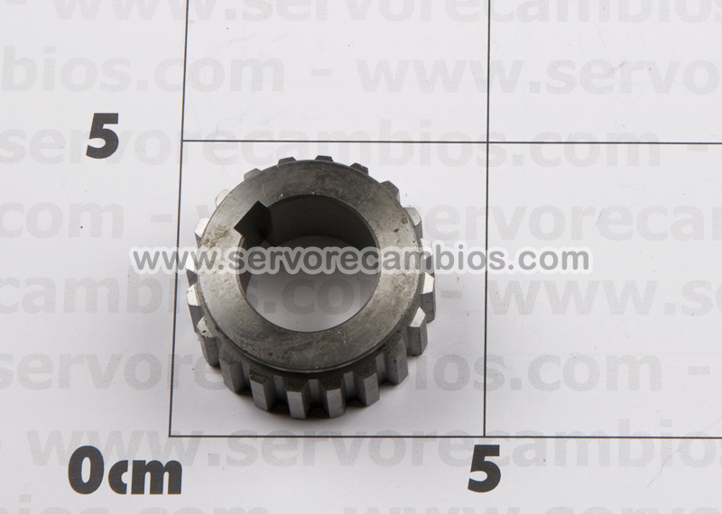 TOOTH_GEAR_FMC_A_4f3e16313164a.jpg