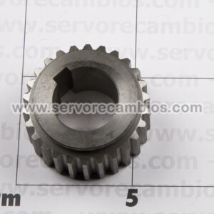 TOOTH_GEAR_FMC_A_4f3e1688813b9.jpg